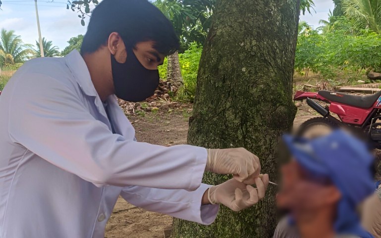 Estudo da UFPB associa os agrotóxicos a danos no DNA