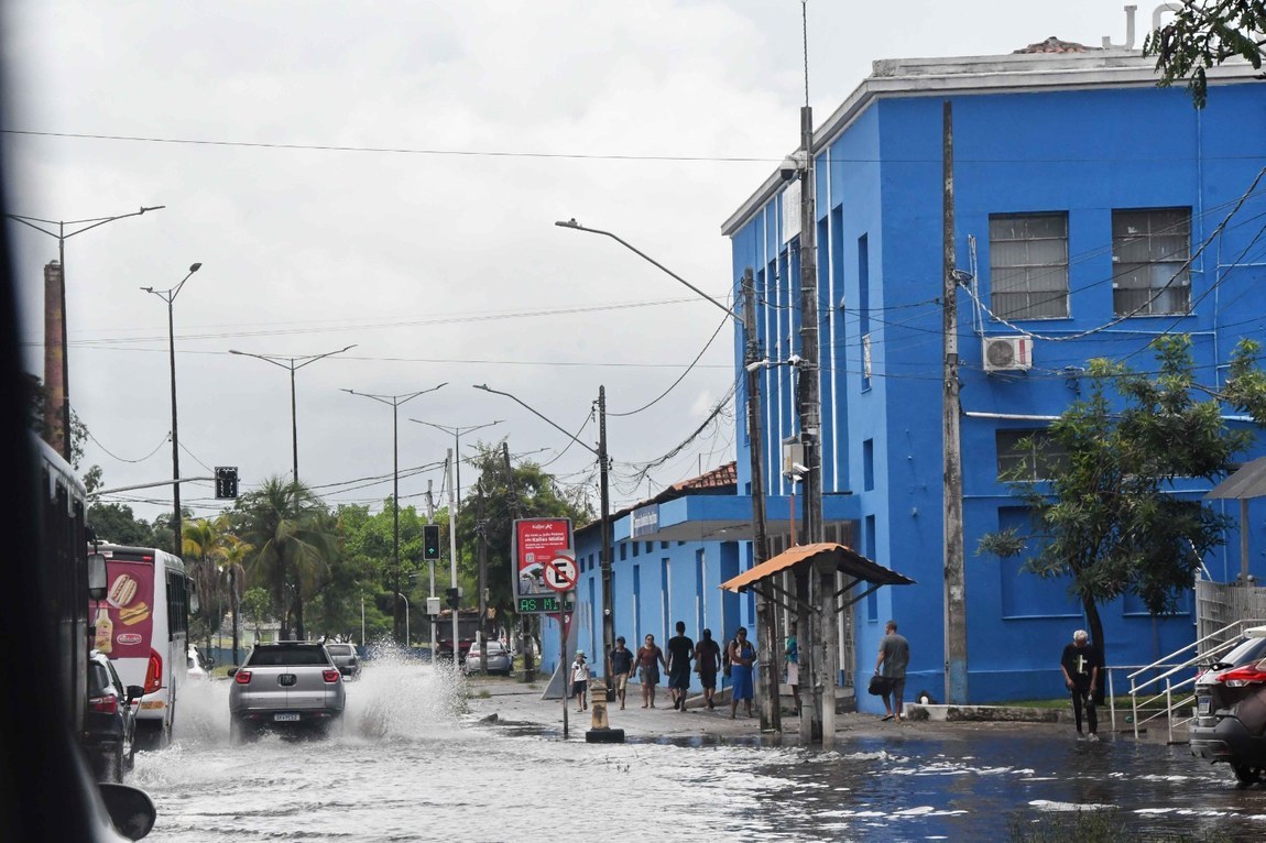 Chuvas derrubam árvores na capital