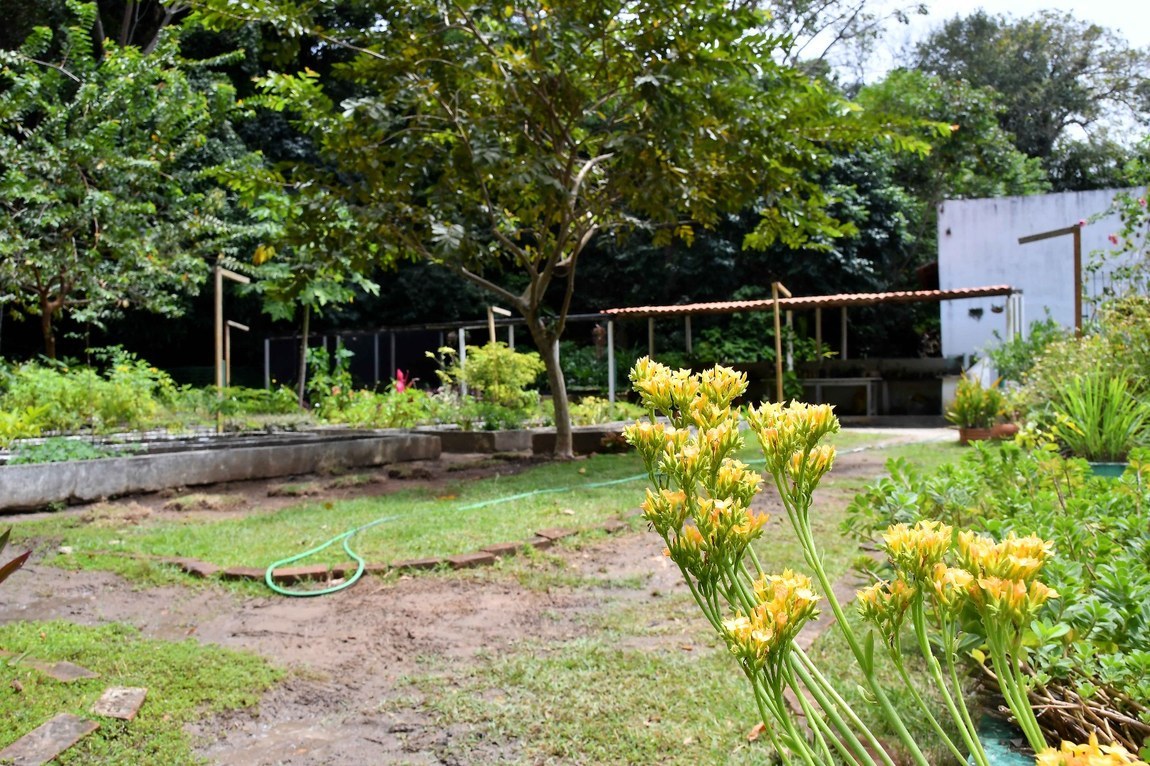 Jardim Botânico sedia programação educativa